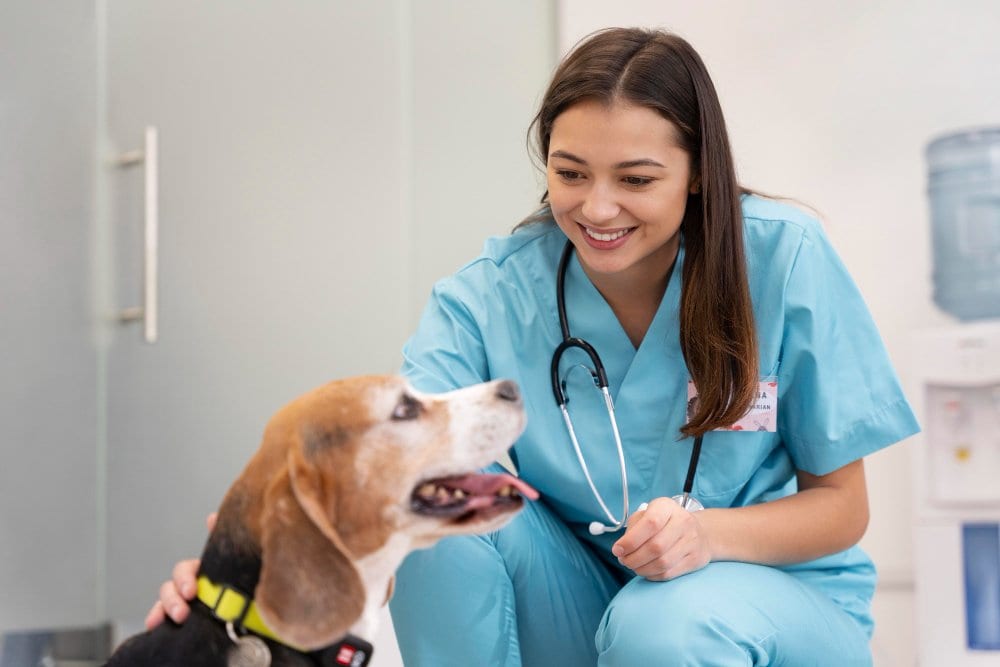Smiling person in teal scrubs with a stethoscope crouching beside a brown, white and black dog