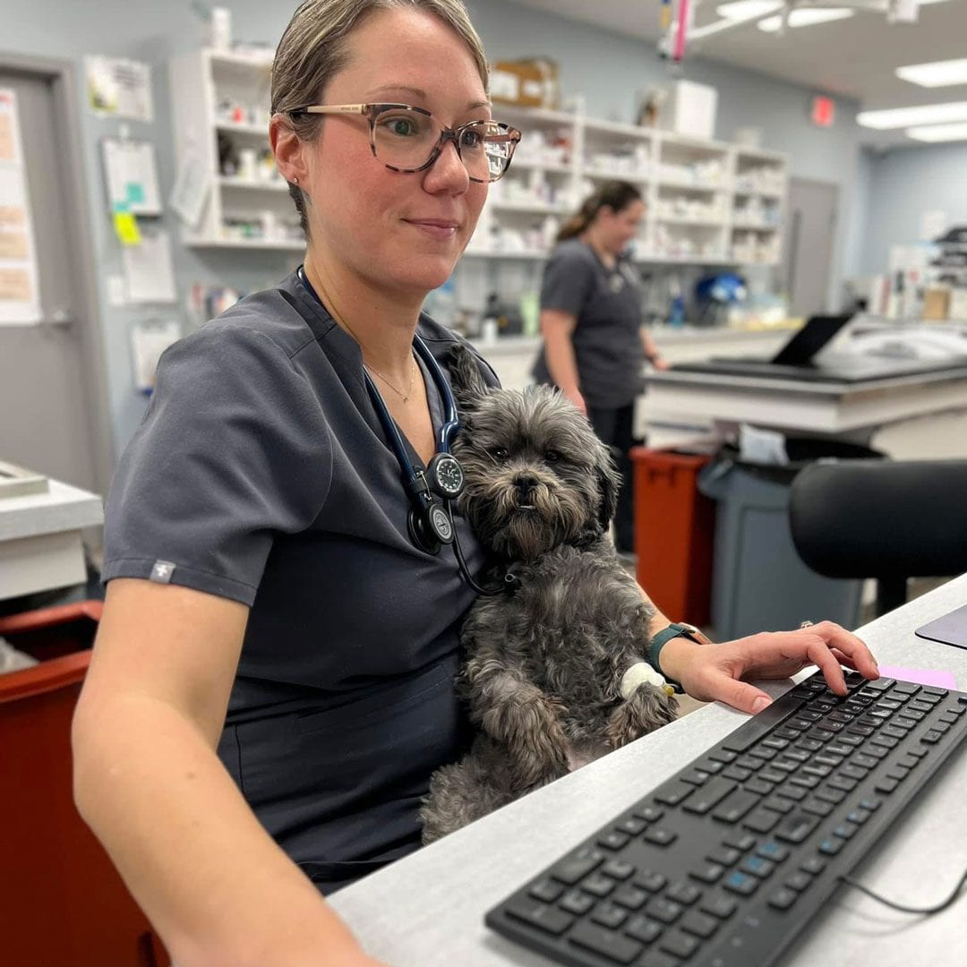 Person with glasses in grey scrubs at a computer keyboard with a small shaggy grey dog on their lap
