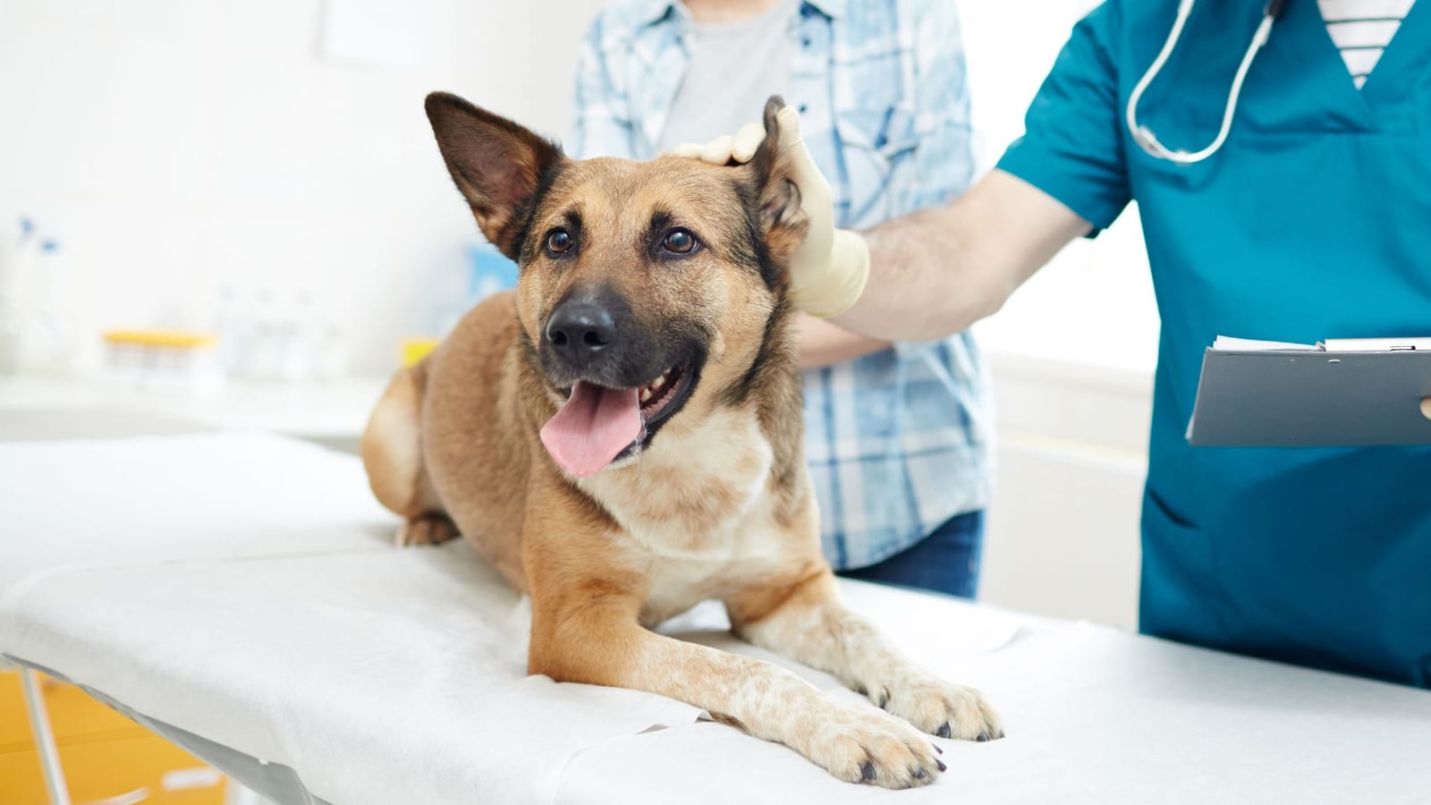 Veterinary Surgical Centers - Vienna