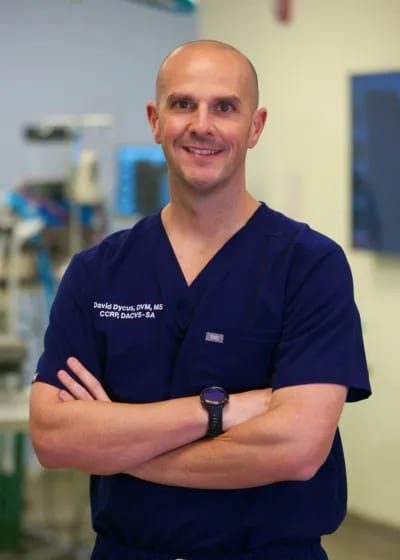 Smiling bald person with arms crossed in navy scrubs with embroidered text, in a clinic room