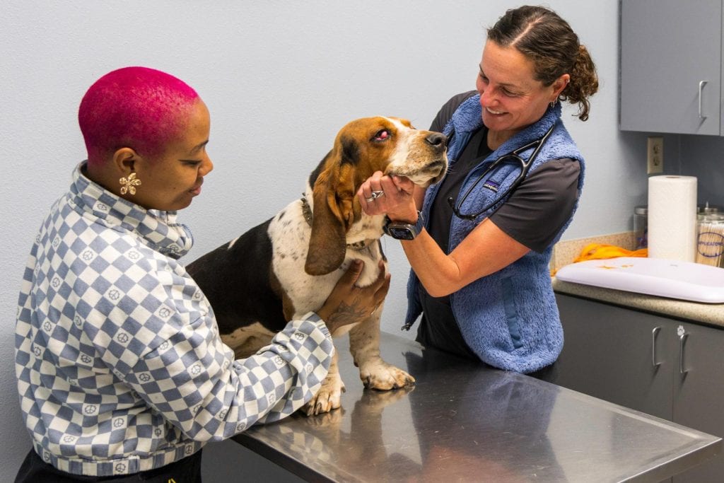 Two people with a brown and white dog on a stainless steel exam table at Northern Regional Veterinary Hospital