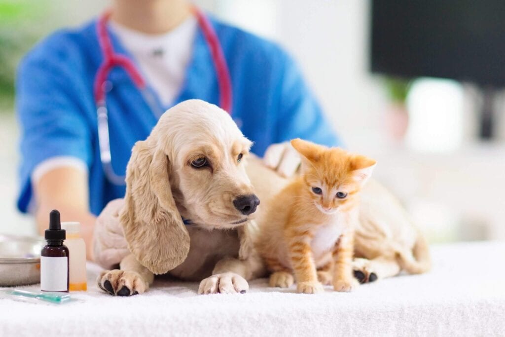 Northern Regional Veterinary Hospital - Phoenix