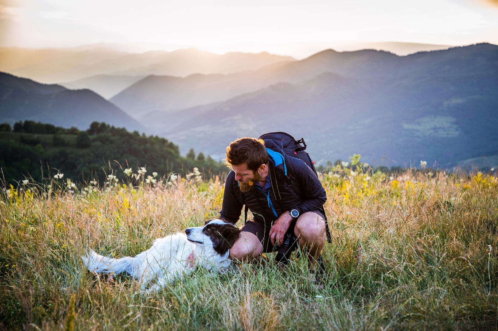 My Pet's Veterinary Urgent Care and Wellness - Kirkland