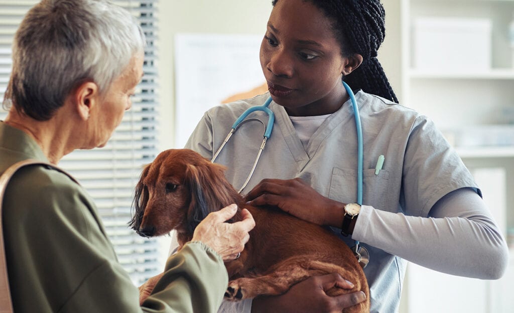 Humane Colorado, formerly the Dumb Friends League - Veterinary Hospital at CSU Spur - Denver