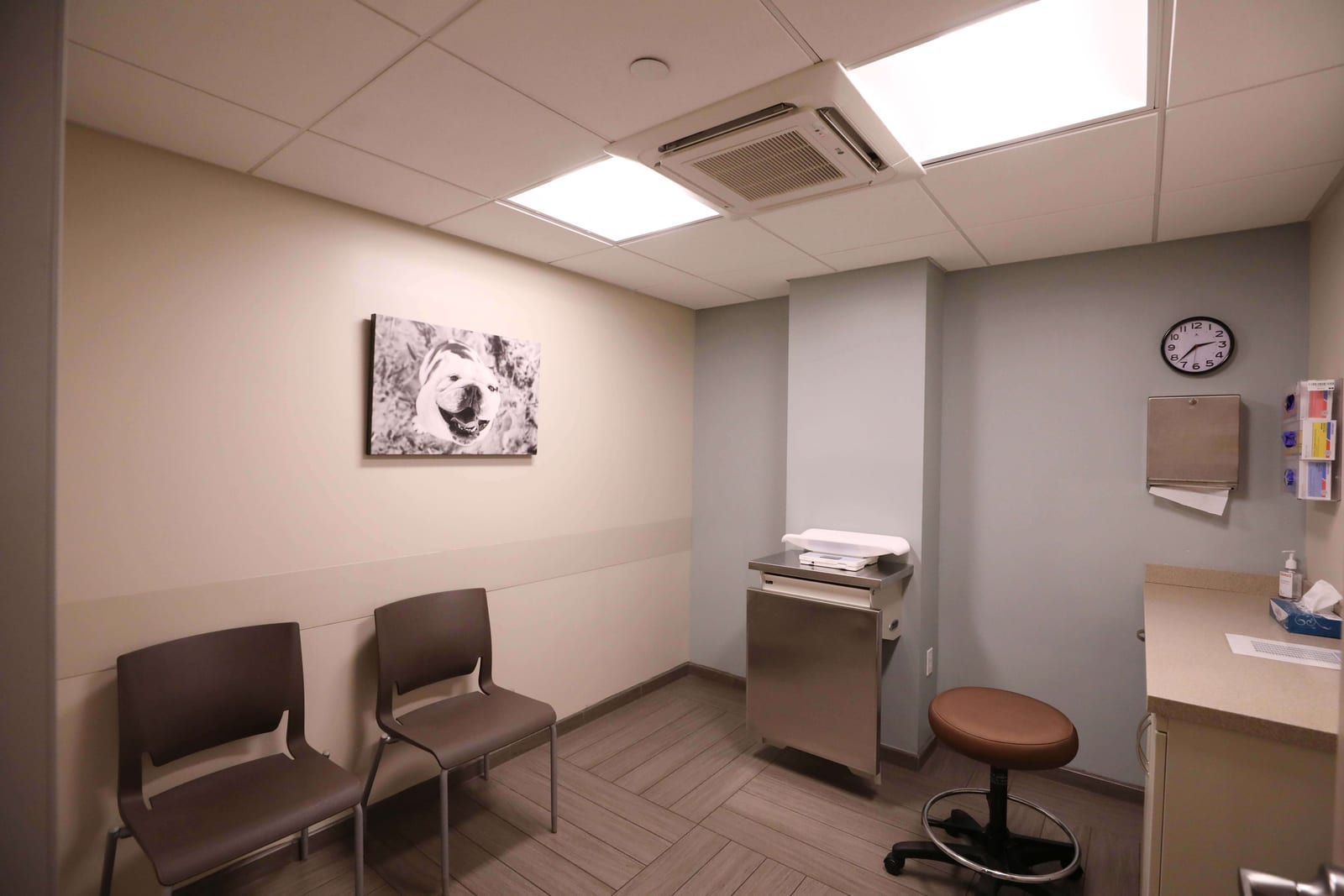 BluePearl Pet Hospital - New York