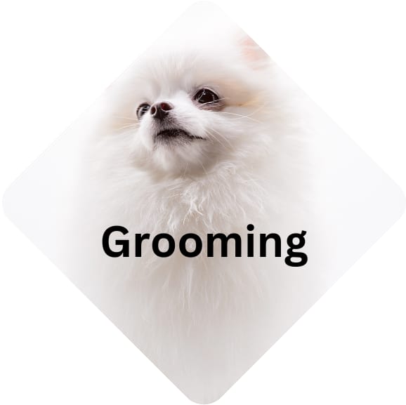 Fluffy white dog in a diamond shape with the word Grooming in bold black letters