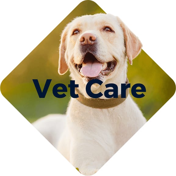 Cream-colored dog with open mouth in a diamond shape with the words Vet Care in dark blue letters