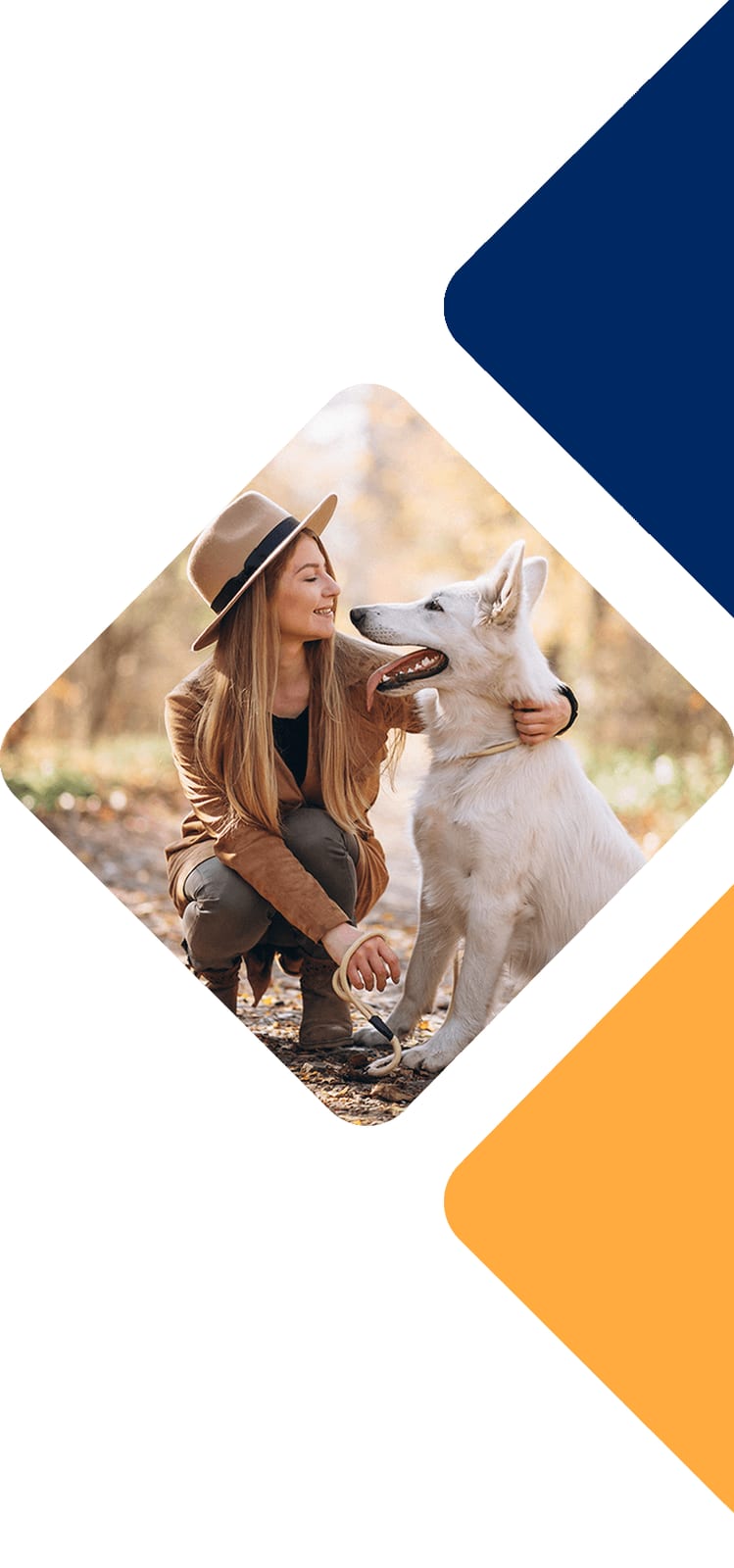 Woman in a brown hat petting a white dog in a diamond frame beside navy and orange shapes