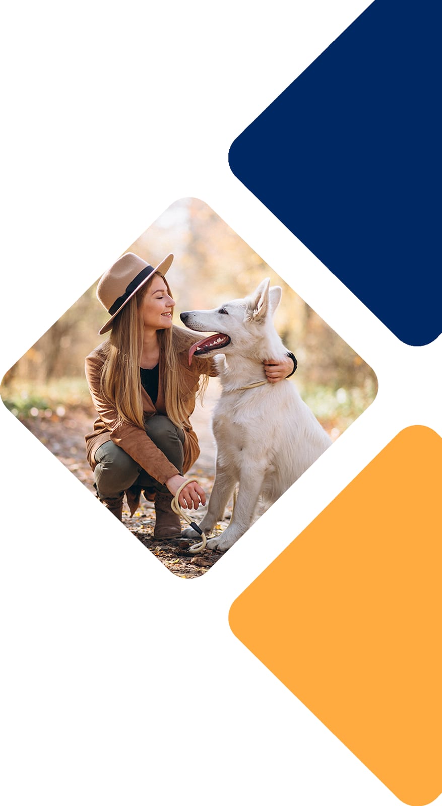 Country Hills Veterinary Clinic - Bulverde