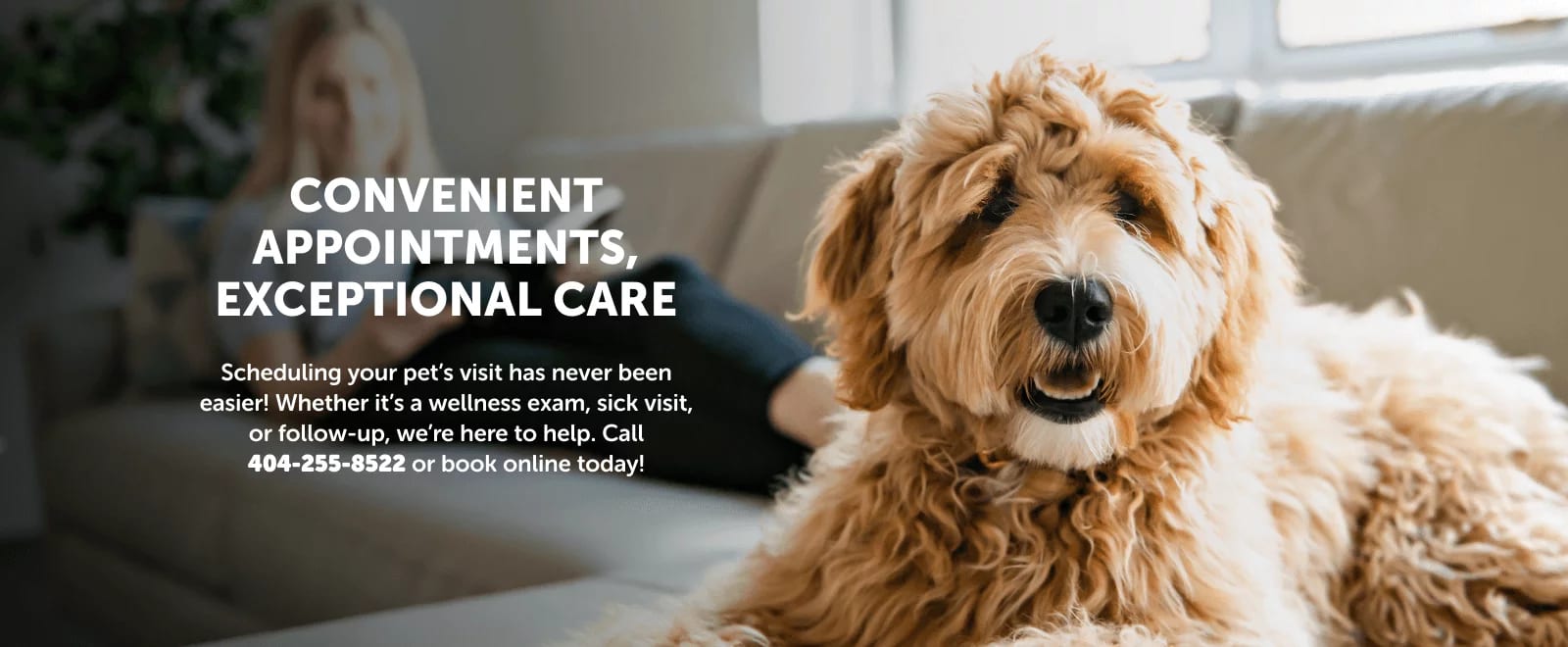 Banner reading Convenient appointments, exceptional care beside a curly brown dog on a sofa