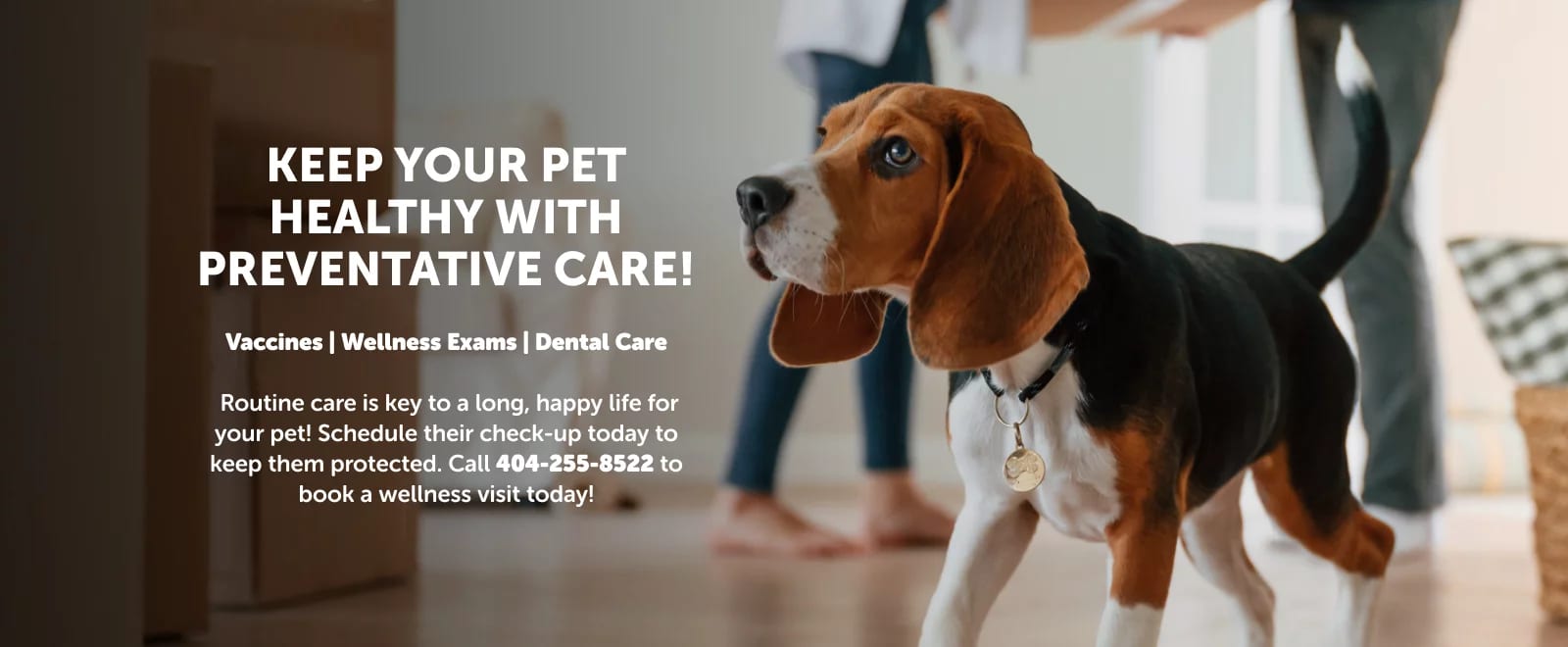 Banner reading Keep your pet healthy with preventative care over a dog standing on a wood floor