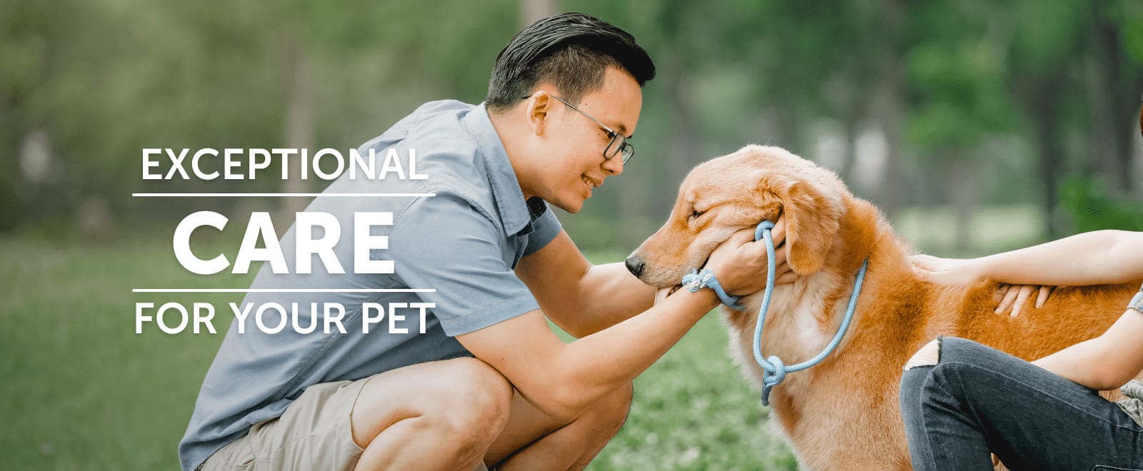 Animal Hospital of Sandy Springs - Sandy Springs