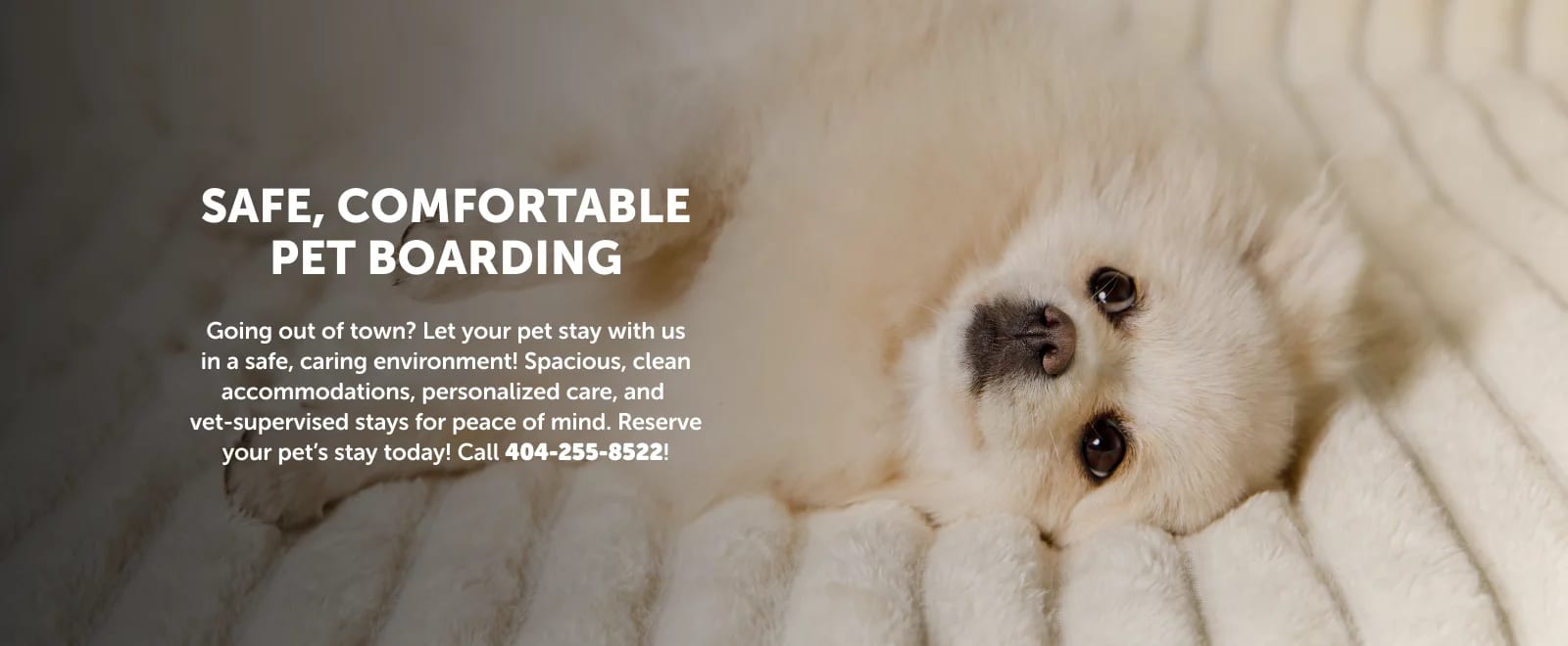 Banner reading Safe, comfortable pet boarding with a fluffy white dog lying on a cream blanket