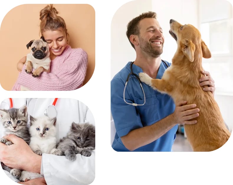 Collage of a woman holding a small dog, three kittens in a person's arms and a man in scrubs with a golden dog