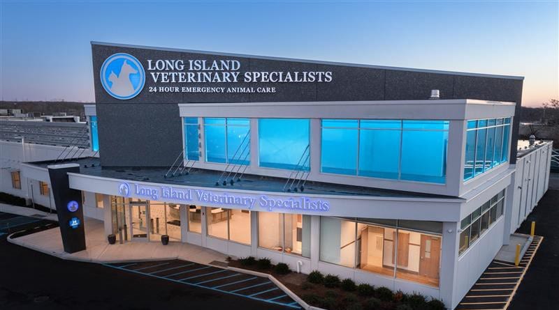 Modern building at dusk with blue-lit windows and a sign reading Long Island Veterinary Specialists