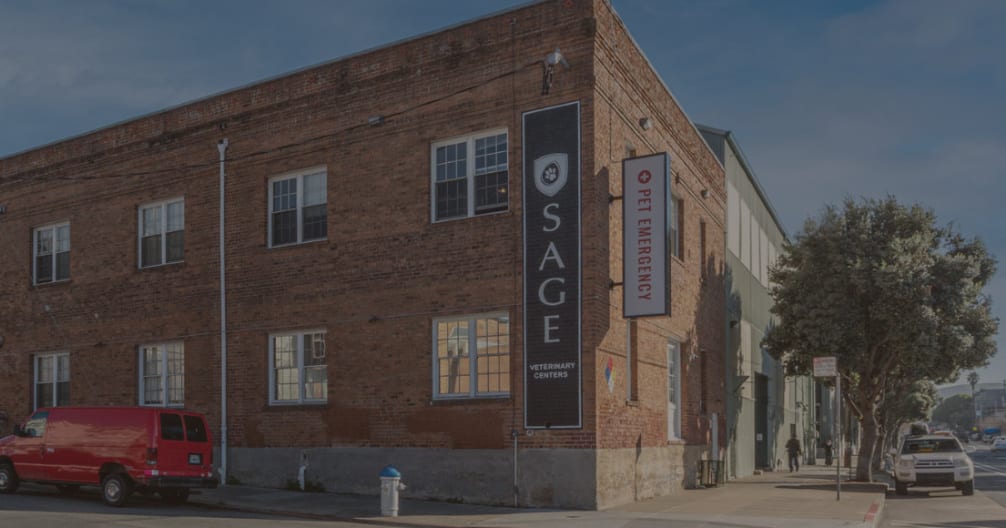 Red brick corner building with vertical SAGE Veterinary Centers and Pet Emergency signs