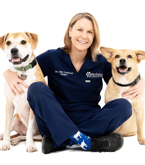 Person in navy Arista scrubs sitting cross-legged between two tan dogs on a white background