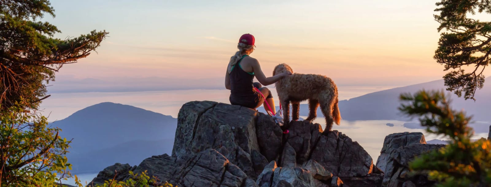 Person sitting on rocks beside a curly tan dog at sunset with hills and sea behind