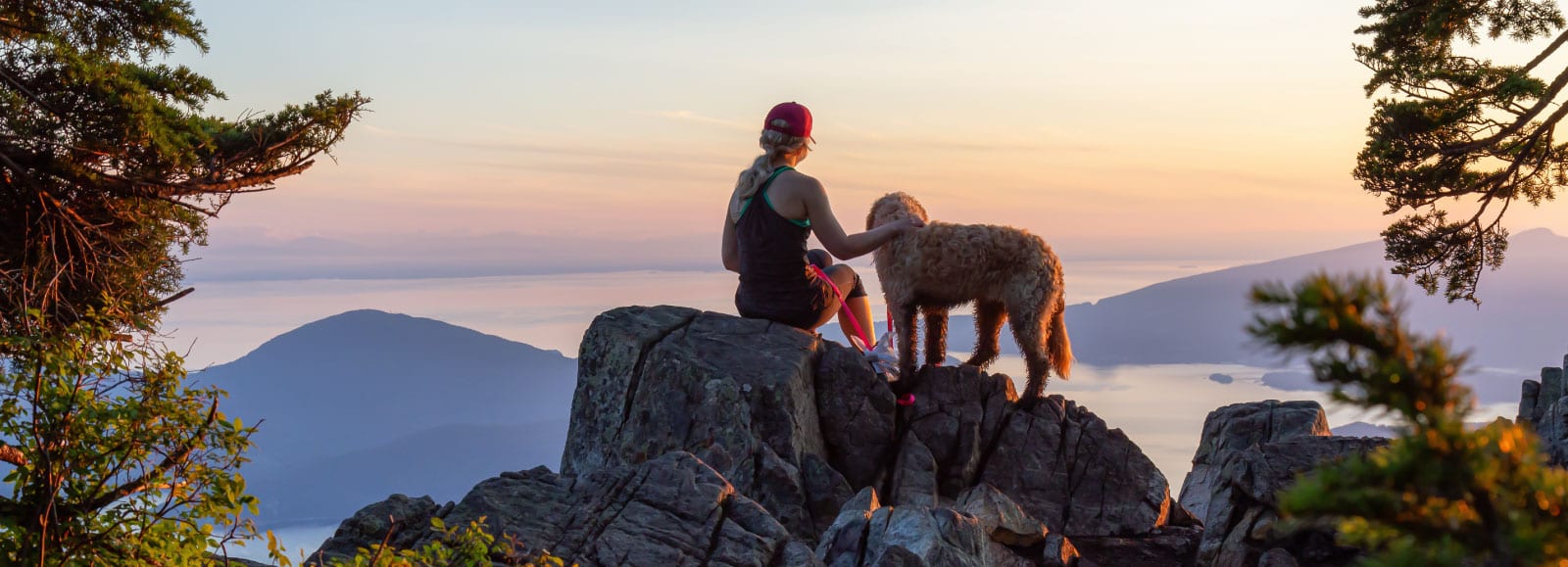 Person and curly tan dog on a rocky outcrop looking out over water and mountains at sunset