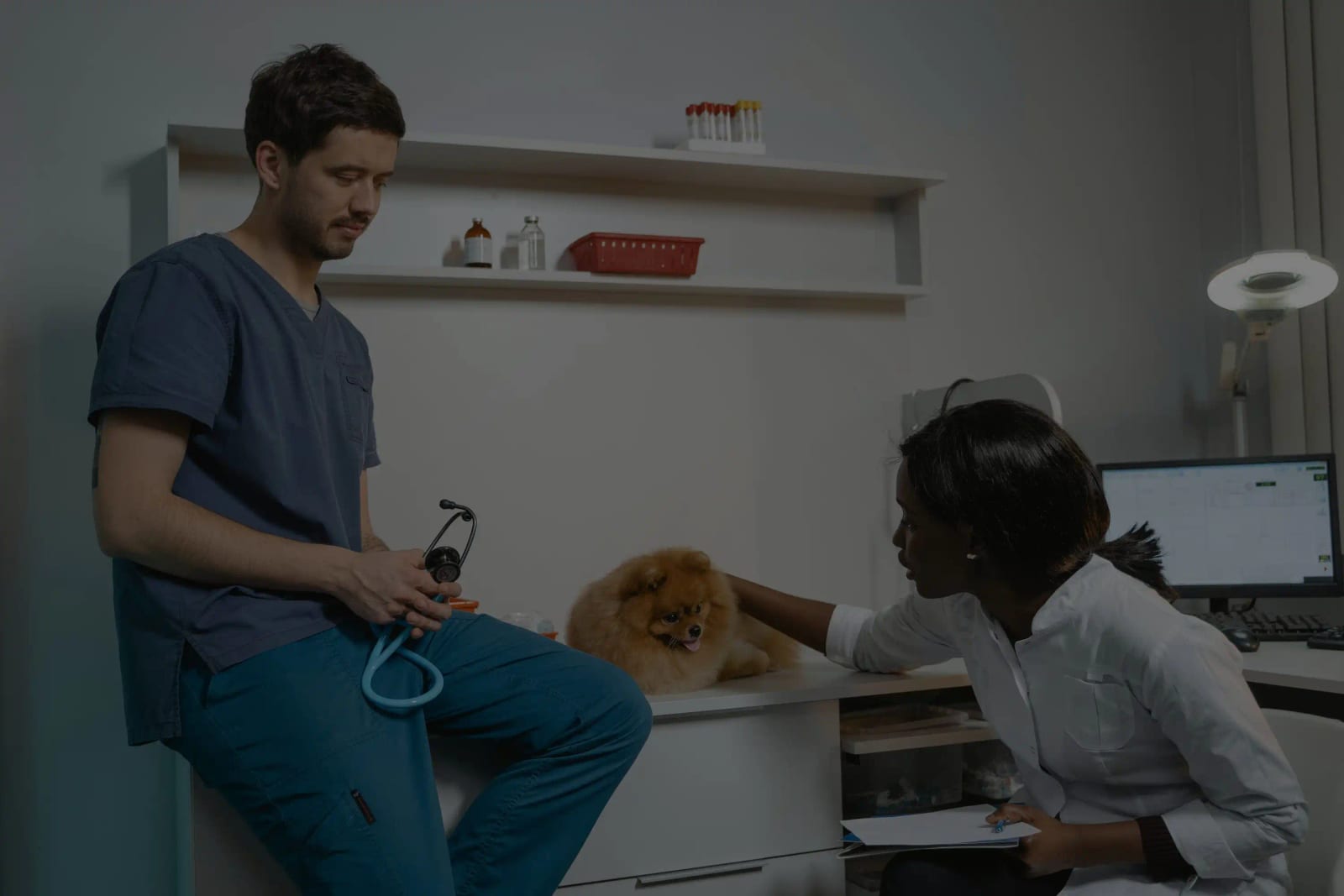 Person in blue scrubs holding a stethoscope beside a person in white with a small fluffy dog