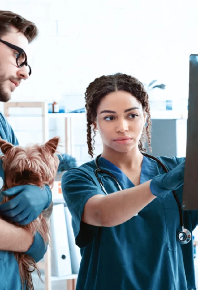 Person holding a small long-haired dog beside a person in teal scrubs looking at a large dark sheet