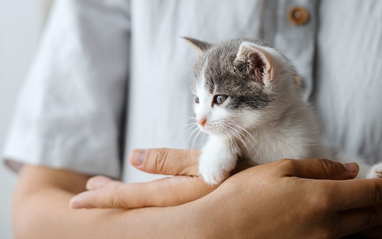 Shady Oak Veterinary Clinic - Minnetonka