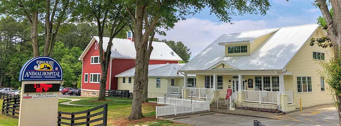 Sugar Hill Animal Hospital - Sugar Hill