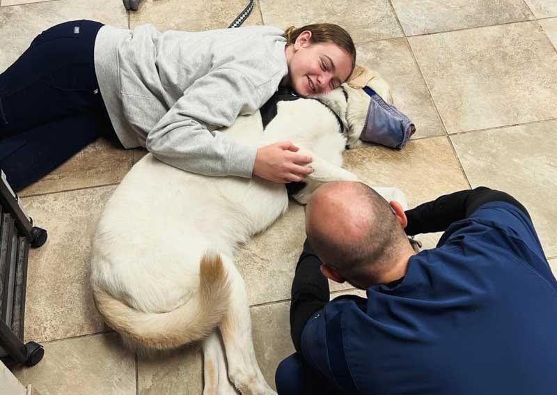 Person in a grey sweatshirt lying on a tiled floor with an arm around a large white dog