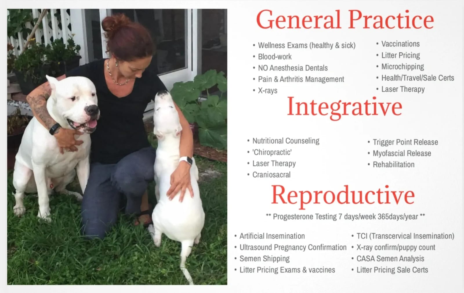 Graphic listing General Practice, Integrative and Reproductive services beside a person kneeling with two white dogs