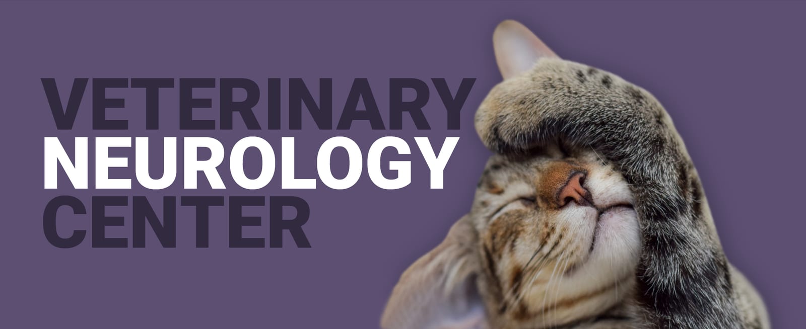 Purple banner reading Veterinary Neurology Center with a cat covering its eyes with a paw