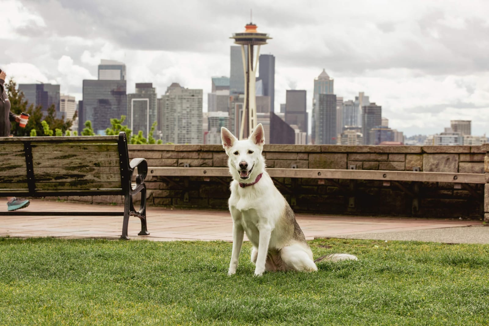 Northwest Veterinary Hospital: Whereat Ann DVM - Seattle