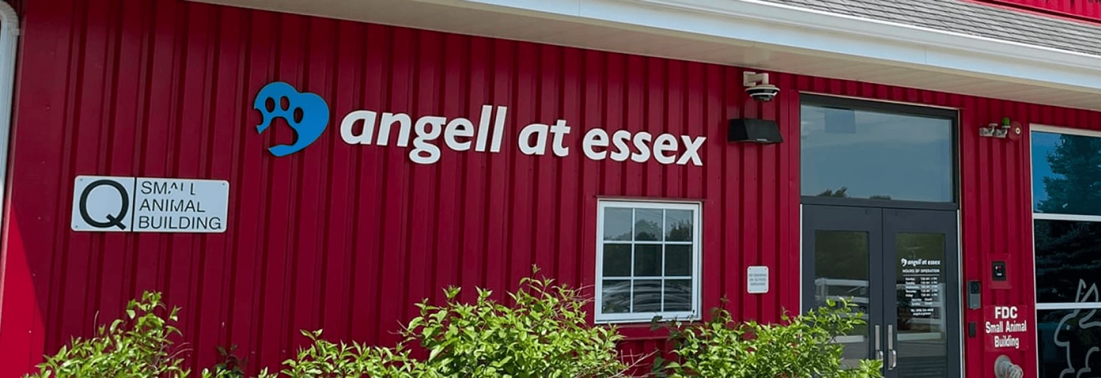 Angell at Essex - Danvers