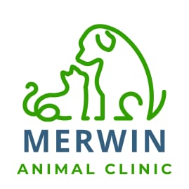 Merwin Animal Clinic logo with a green outline of a sitting dog and cat above blue and green text