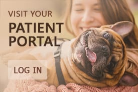 Graphic reading Visit your patient portal with a log in button and a wrinkled-faced dog held by a smiling woman