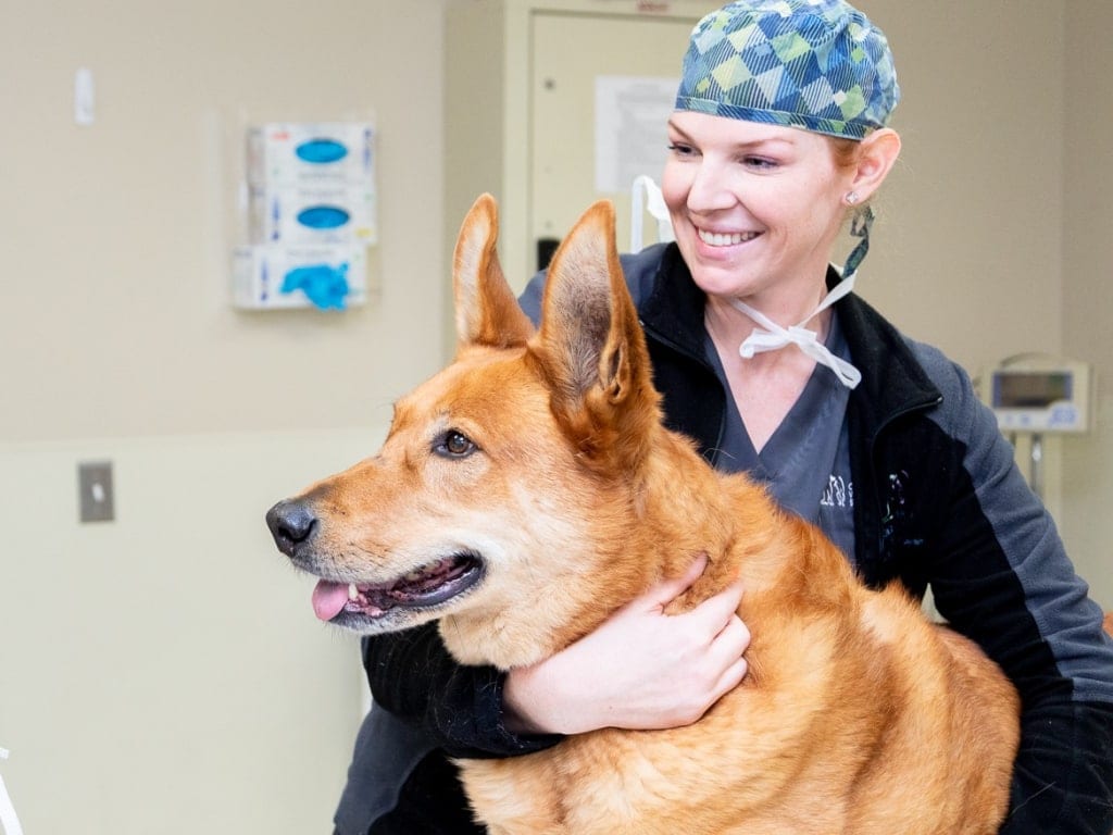 Smiling person in a patterned scrub cap hugging a large tan dog