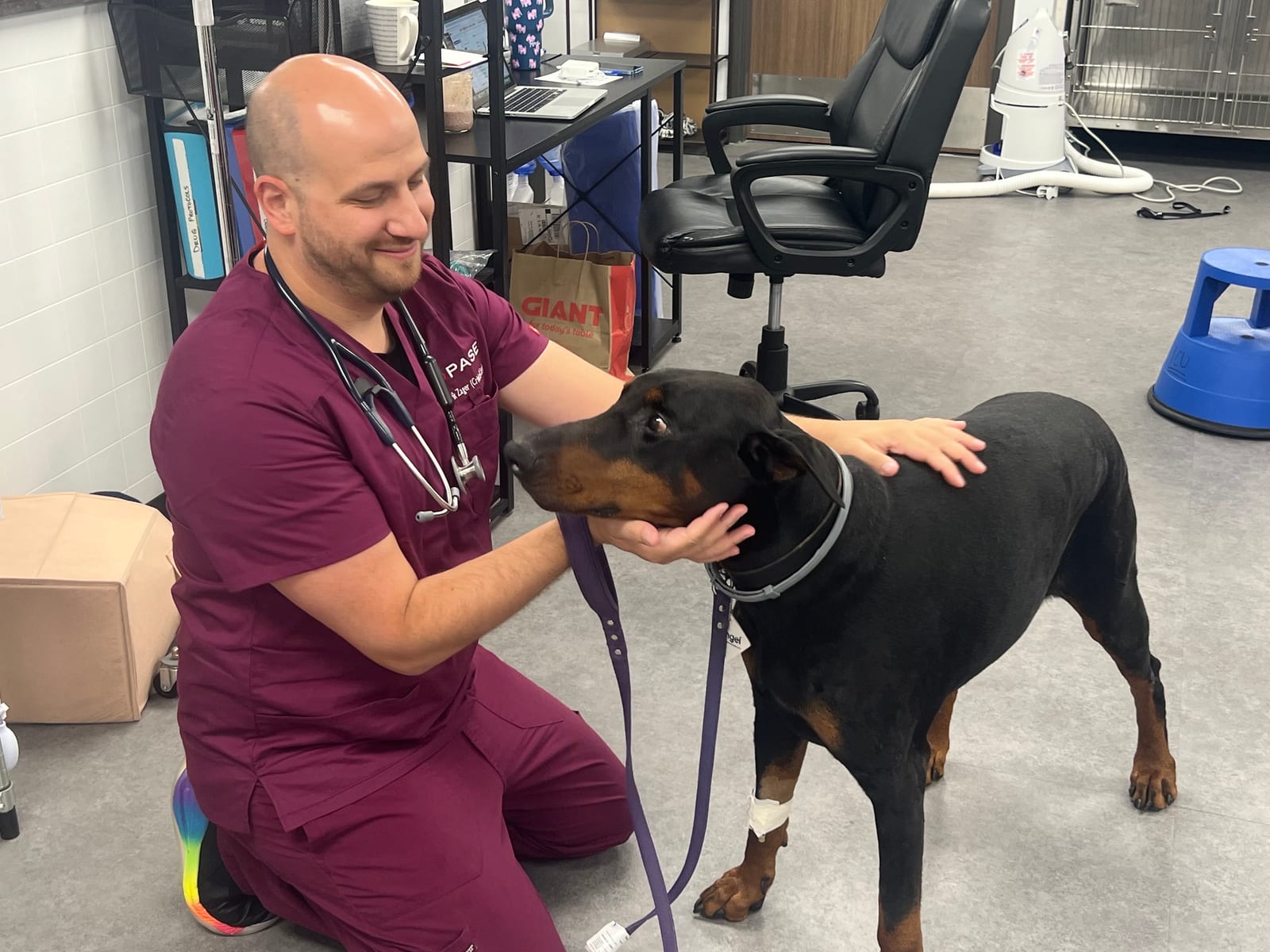 Smiling bald person in maroon scrubs kneeling beside a black and tan dog on a leash