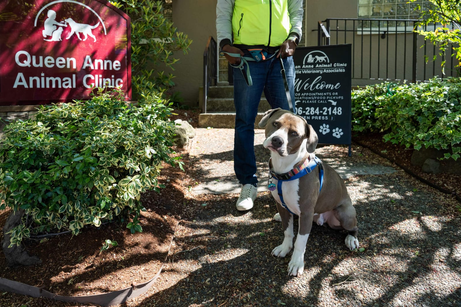 Queen Anne Animal Clinic - Seattle