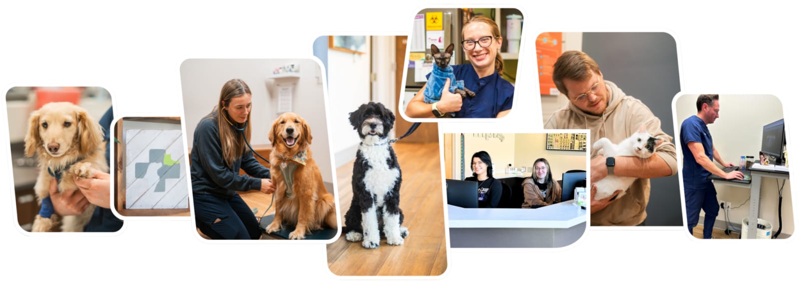 Vet Partners Minneapolis - Minneapolis