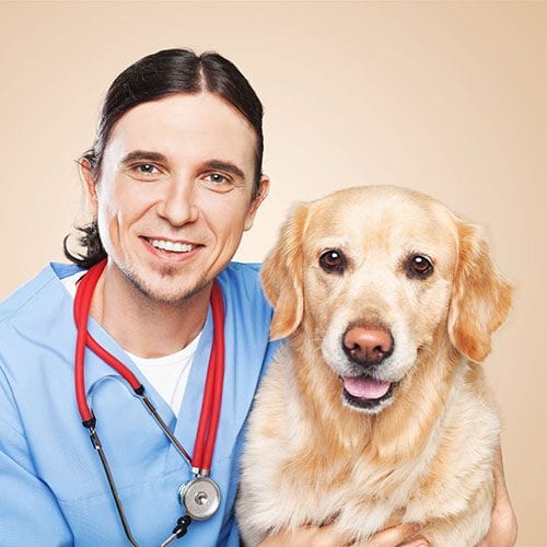 Smiling person in light blue scrubs with a red stethoscope beside a golden-coated dog
