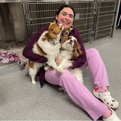 Smiling person in pink scrubs sitting on the floor hugging two brown and white dogs by kennel doors