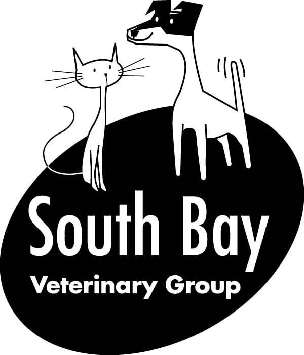 South Bay Veterinary Group - Boston