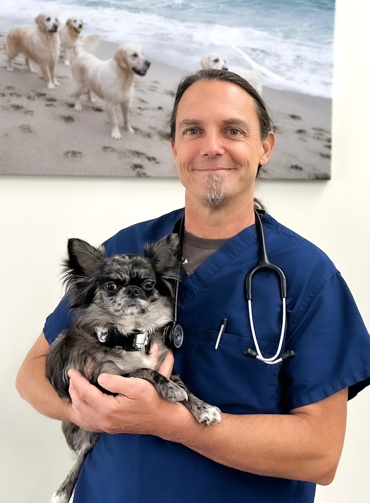 Smiling person in navy scrubs with a stethoscope holding a small grey and black dog