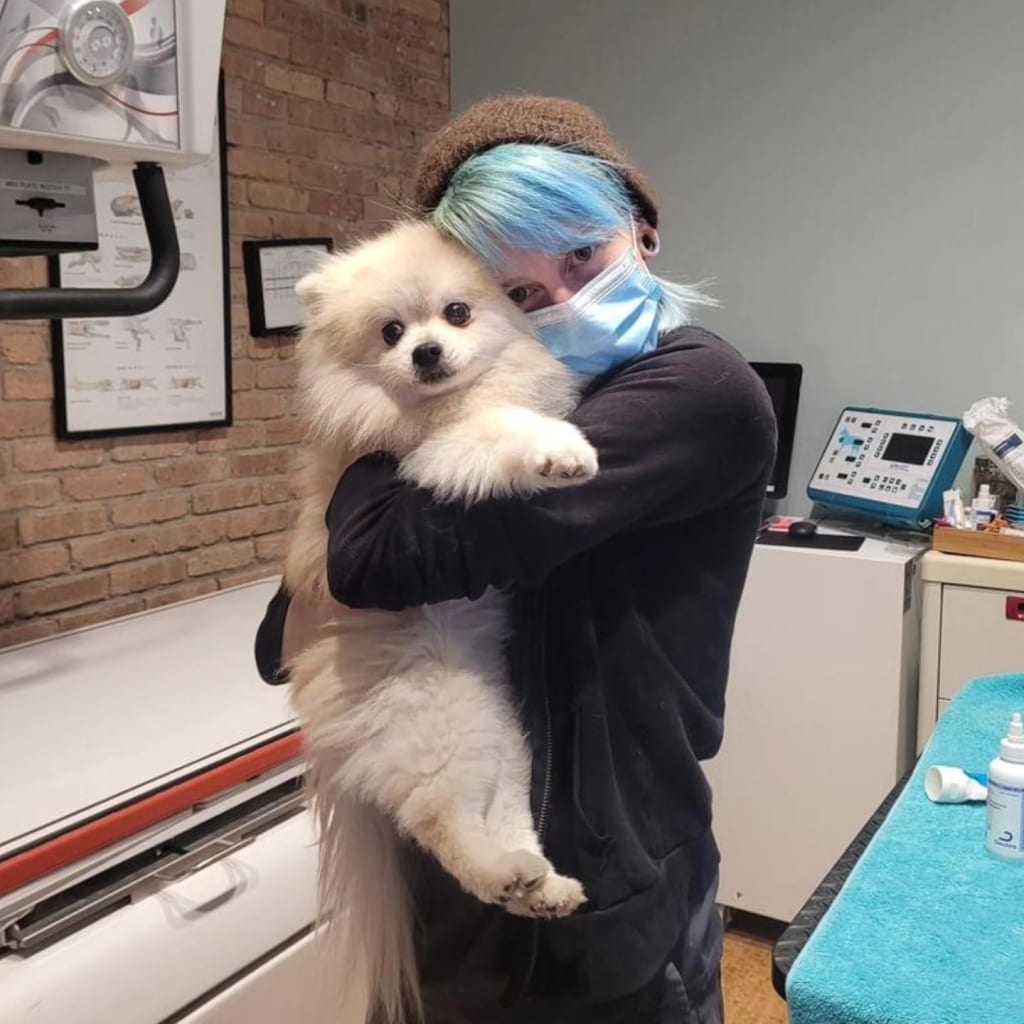 Person with blue hair and a mask holding a fluffy cream dog beside a brick wall and equipment