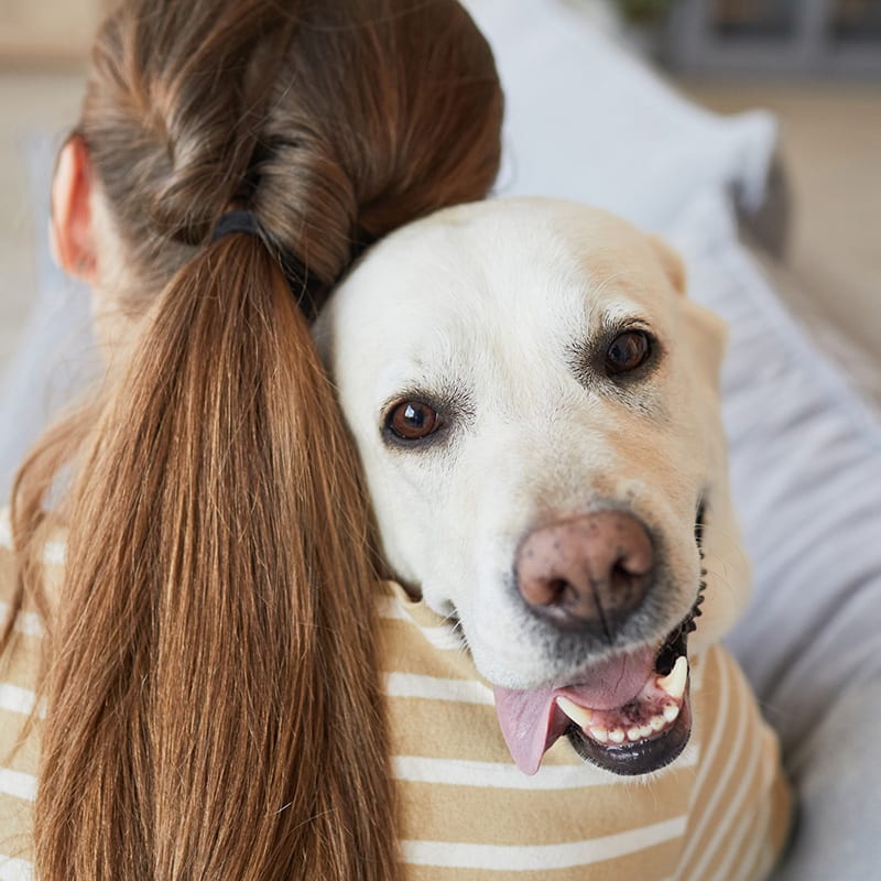Boston Animal Hospital - Boston