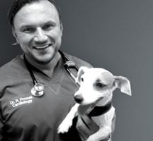Black and white photo of a smiling man in scrubs with a stethoscope holding a small dog