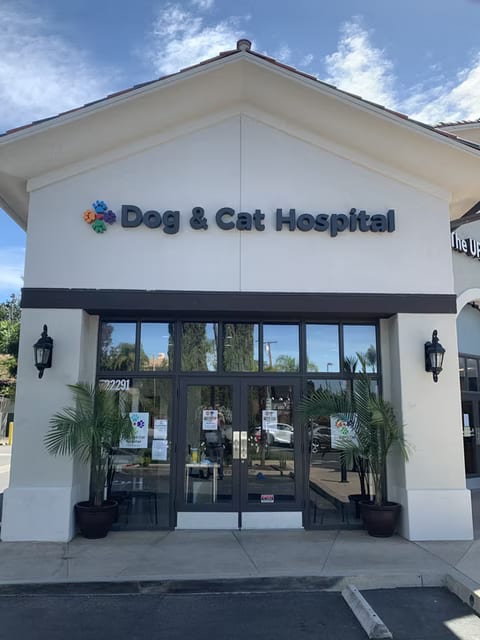 Front entrance of Dog & Cat Hospital with a gabled cream facade, glass doors and two potted palms