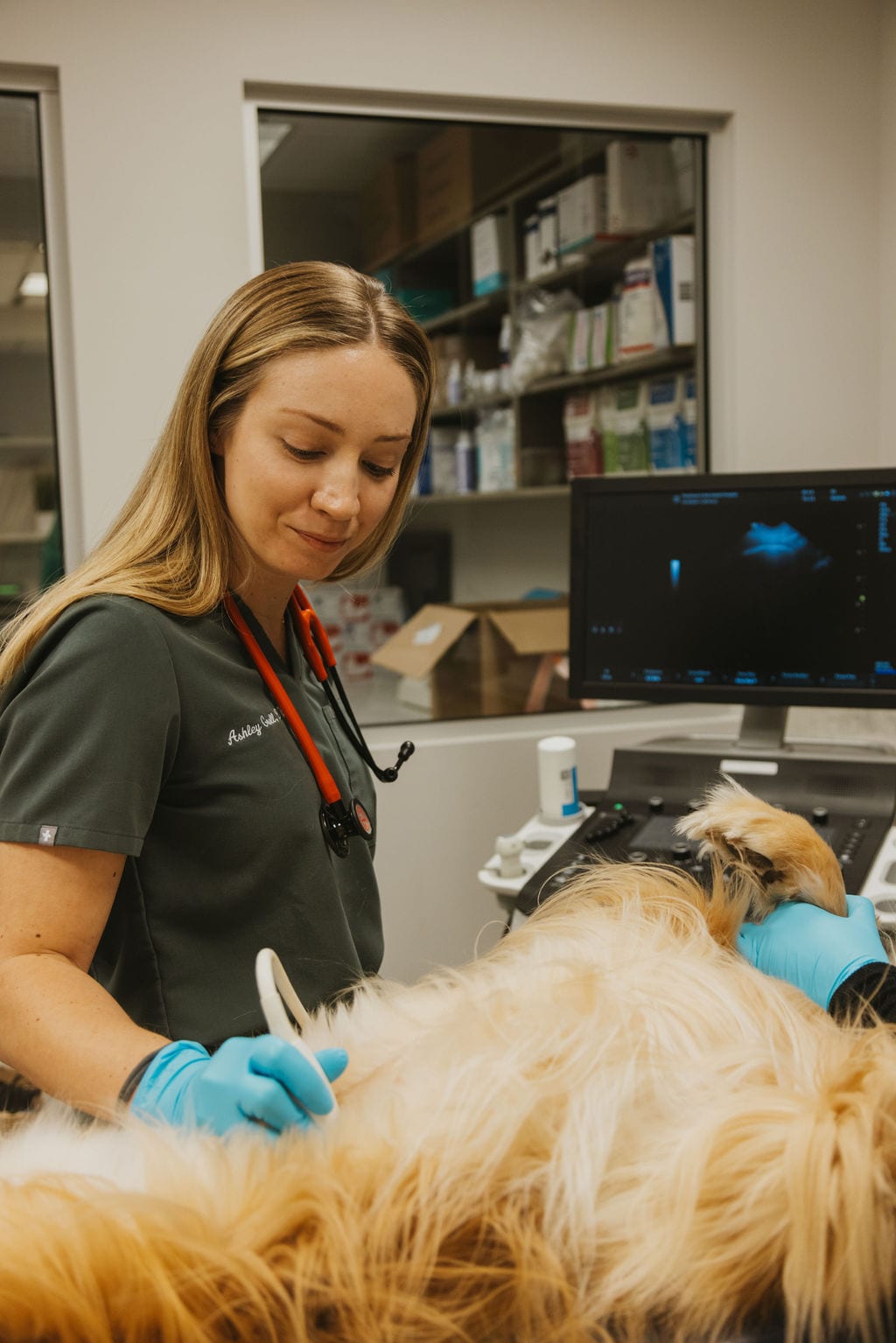 Woman in olive scrubs and blue gloves beside a fluffy golden dog on a table, with a monitor and supply shelves behind