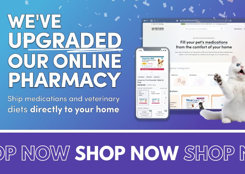Banner reading We've Upgraded Our Online Pharmacy with website screenshots and a white cat raising a paw
