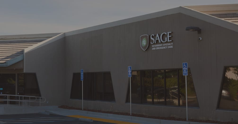 SAGE building exterior with a shield logo on a grey wall, dark windows and blue accessible parking signs