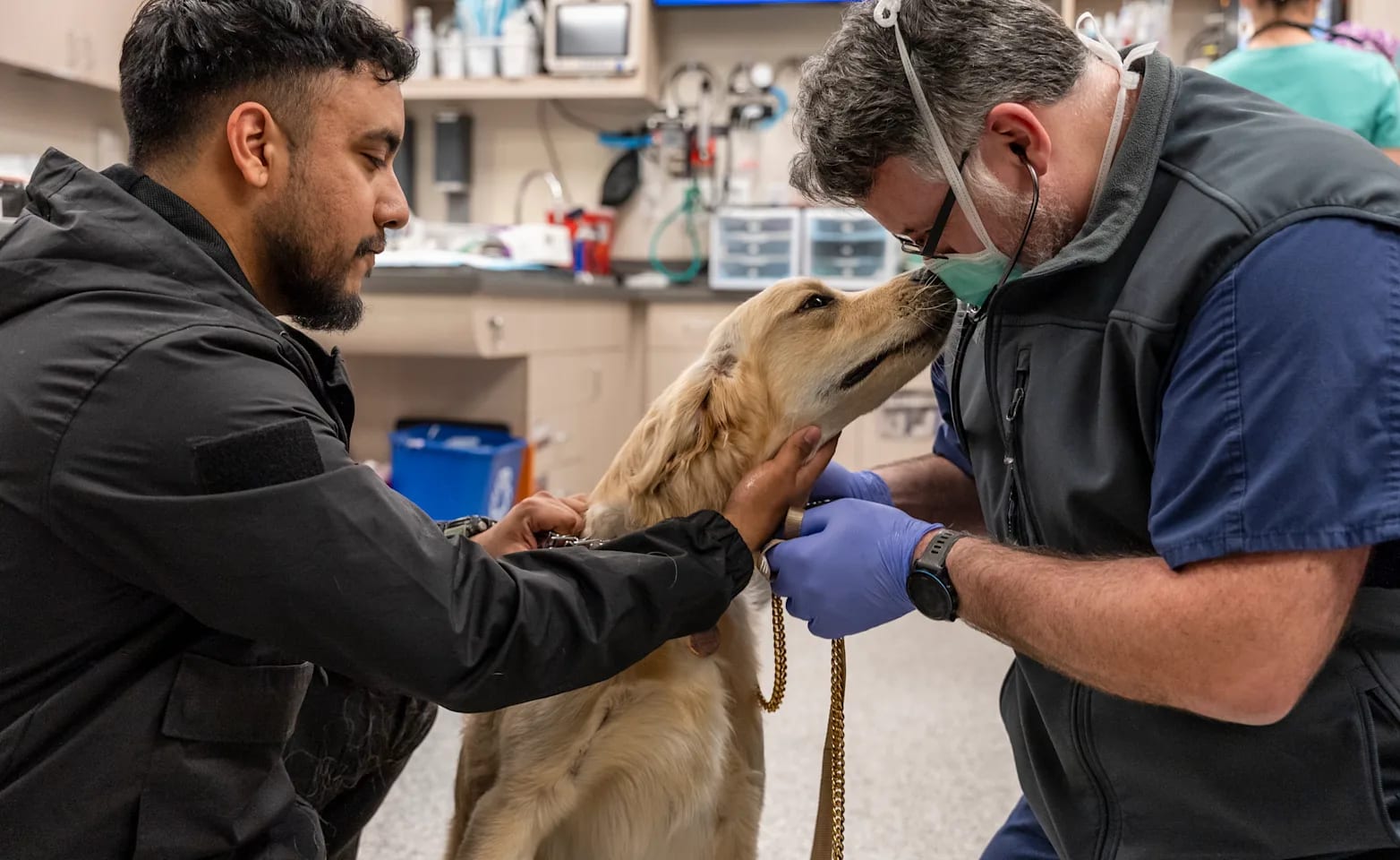 Man in a black jacket petting a golden dog while a person in blue gloves and a face mask leans toward its face
